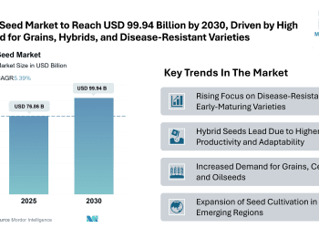 Seed Market Size to Reach USD 99.94 Billion by 2030, Says Mordor Intelligence’s Research