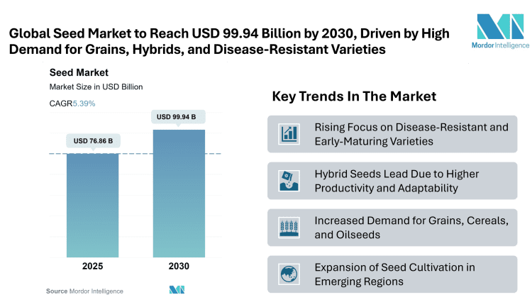Seed Market Size to Reach USD 99.94 Billion by 2030, Says Mordor Intelligence’s Research