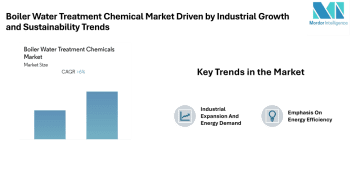 Boiler Water Treatment Chemical Market to Reach Significant Value by 2030 at a CAGR of 6.45% Driven by Industrial Growth and Sustainability Trends