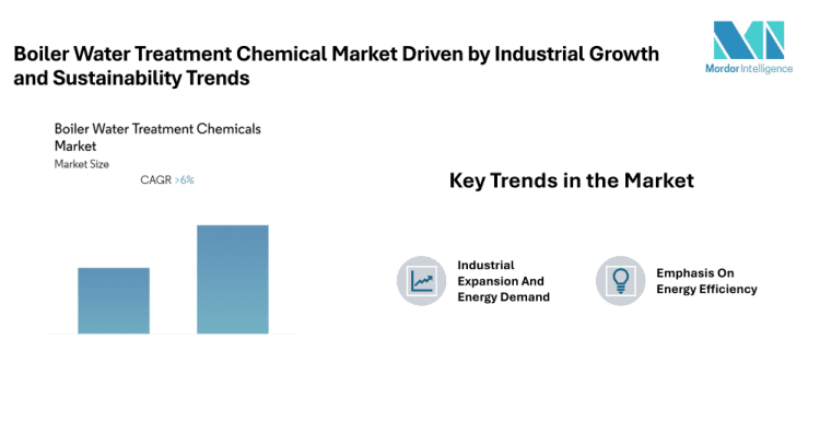 Boiler Water Treatment Chemical Market to Reach Significant Value by 2030 at a CAGR of 6.45% Driven by Industrial Growth and Sustainability Trends