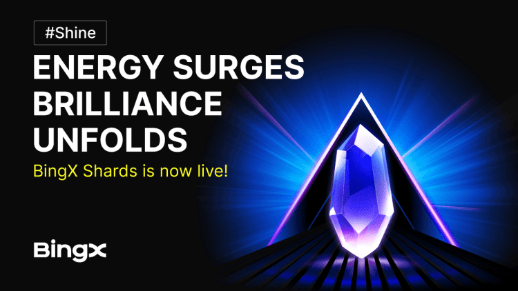 BingX Shards – A New Rewards Ecosystem for Enhanced User Engagement – Press Releases Distribution for Market Research Reports