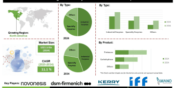 Engineered Enzymes Market Future Prospects Growth Potential and Investment Opportunities – Press Releases Distribution for Market Research Reports