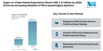 Organ-on-Chips Market Expected to Reach USD 1.51 Billion by 2030 Driven by Increasing Adoption of Microphysiological Systems