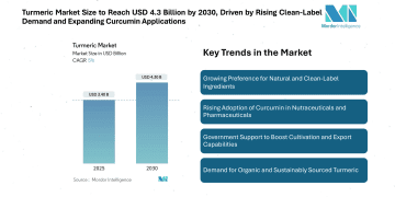Turmeric Market Size to Reach USD 4.3 Billion by 2030 Driven by Rising Clean-Label Demand and Expanding Curcumin Applications