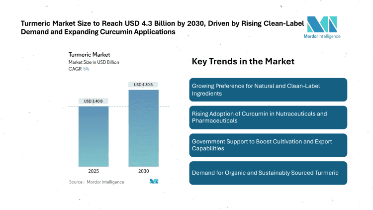 Turmeric Market Size to Reach USD 4.3 Billion by 2030 Driven by Rising Clean-Label Demand and Expanding Curcumin Applications