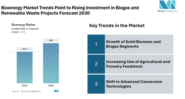 Bioenergy Market to Hit 200 GW by 2030, Driven by Increasing Heat and Fuel Demand, Solid Biomass Growth