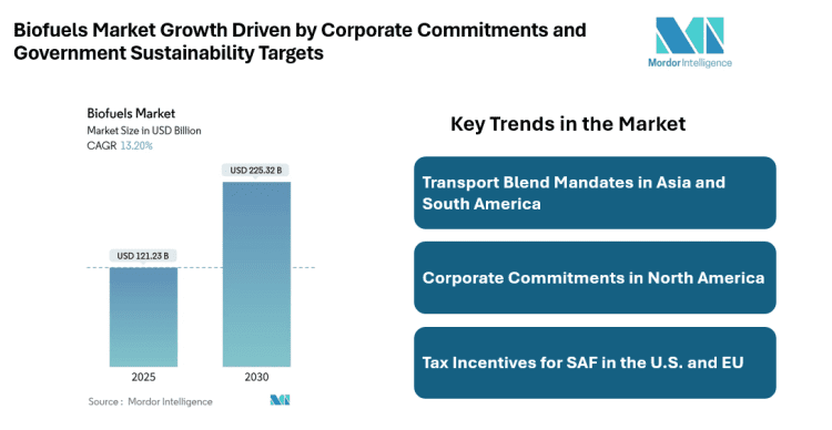 Biofuels Market Size Driven Sustainable Aviation Fuel Demand