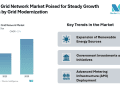 Smart Grid Network Market Size Growing at 11.00% CAGR, Driven by Smart Metering and Grid Modernization Initiatives
