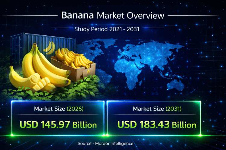 Market Size Expected at USD 145.97 Billion in 2026 with 4.63% CAGR Through 2031  – Press Releases Distribution for Market Research Reports