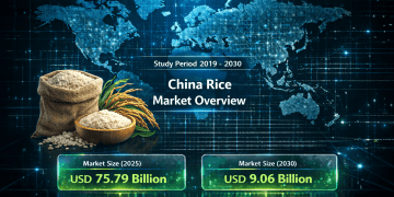 China Rice Market Size to Reach USD 86.59 Billion by 2030 with Steady Demand and Shifting Consumption Trends