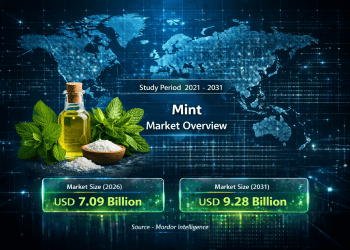 Mint Market Size to Reach USD 9.28 Billion by 2031 Driven by Premiumization, Sugar-Free Demand, and Online Expansion