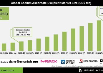 Sodium Ascorbate Excipient Market Revenue Opportunity Analysis – Press Releases Distribution for Market Research Reports